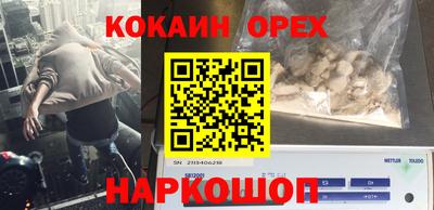 сатива Кунгур