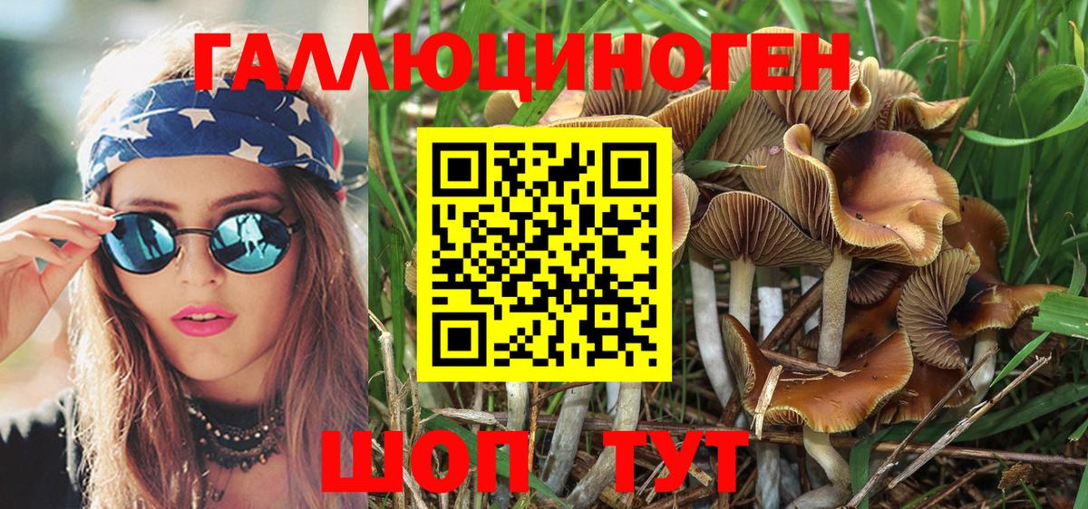 Псилоцибиновые грибы MAGIC MUSHROOMS  наркошоп  Гурьевск  Вход с VPN 